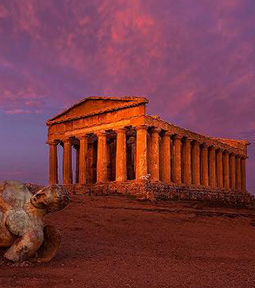 MATRIMONIO IN SICILIA